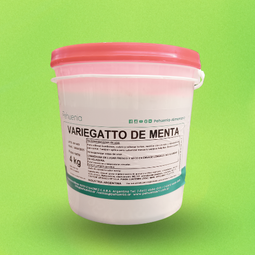 Variegatto Menta